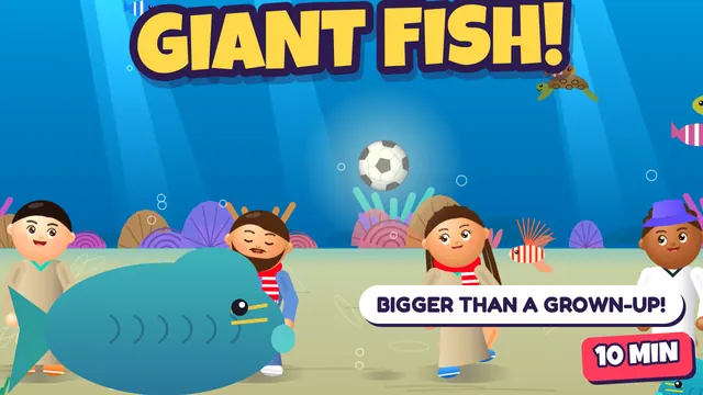 The Giant Fish With a Big Bump – Ras Mohammed, Red Sea, Egypt