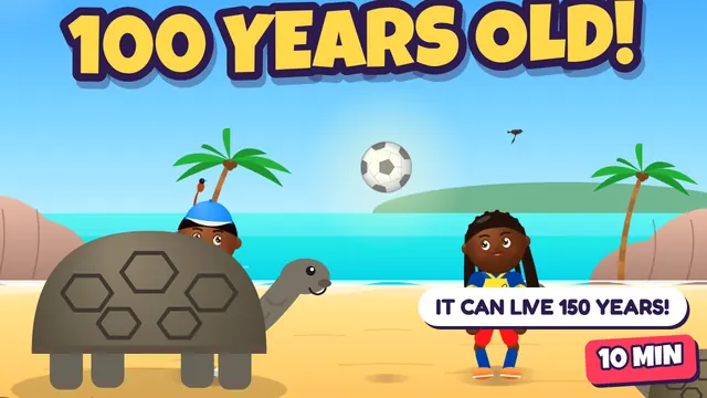 The Giant Tortoise Race – Praslin & La Digue, Seychelles